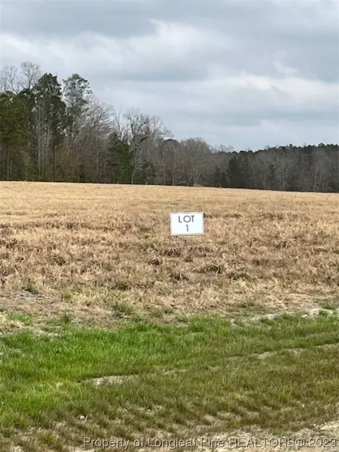 key road land LOT 1, Sanford, NC 27330