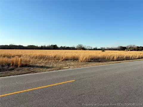 Fairley Road, Maxton, NC 28364 photo 2