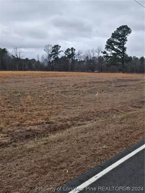 Tract 2 Odum Road, Lumberton, NC 28358