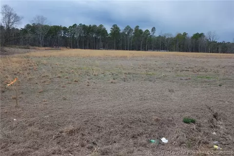 Tract 4 Odum Road, Lumberton, NC 28358
