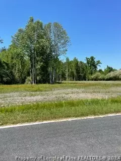 Maynard Road, Godwin, NC 28344