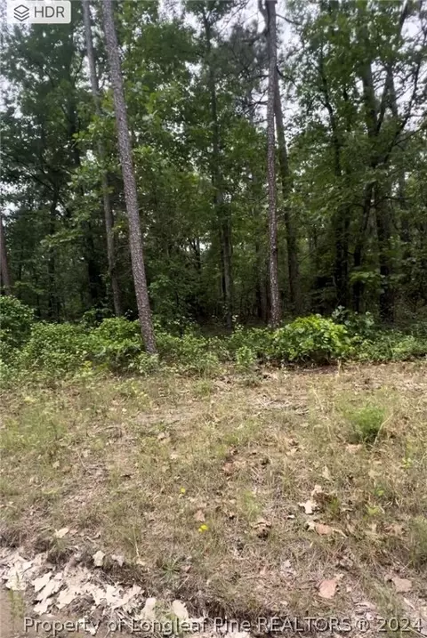 25 Cedar Lane Drive, Eagle Springs, NC 27242