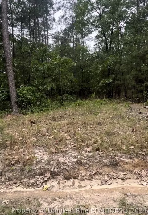 24 Cedar Lane Drive, Eagle Springs, NC 27242
