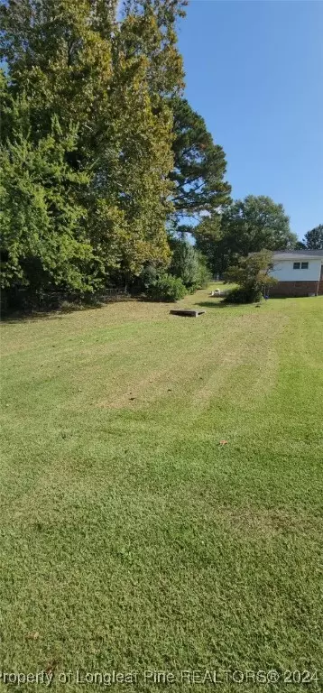 S 14th Street, Erwin, NC 28339 photo 4