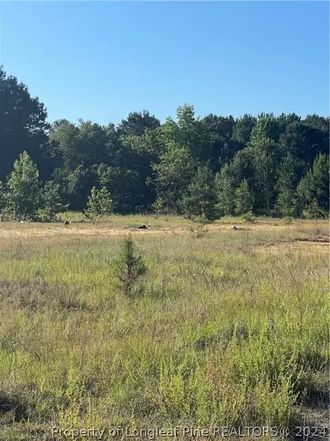 Marcia Drive, Lumberton, NC 28358