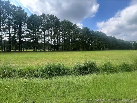 Edwards Store Road, Mount Olive, NC 28365 photo 7
