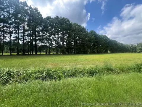 Edwards Store Road, Mount Olive, NC 28365 photo 6