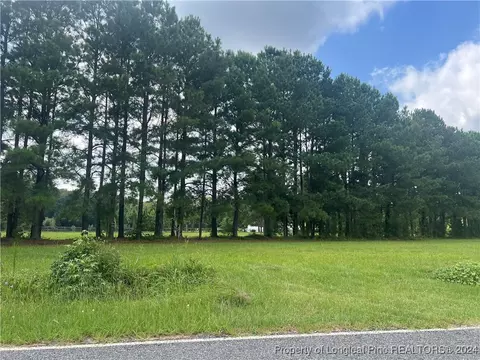 Edwards Store Road, Mount Olive, NC 28365 photo 10