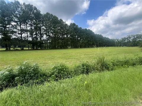 Edwards Store Road, Mount Olive, NC 28365 photo 8