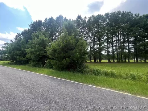 Edwards Store Road, Mount Olive, NC 28365 photo 4