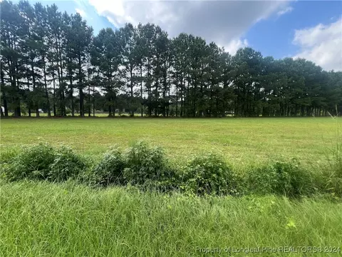 Edwards Store Road, Mount Olive, NC 28365 photo 9