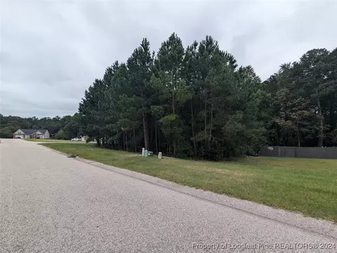 tbd 282 Falling Leaf Dr, Raeford, NC 28376