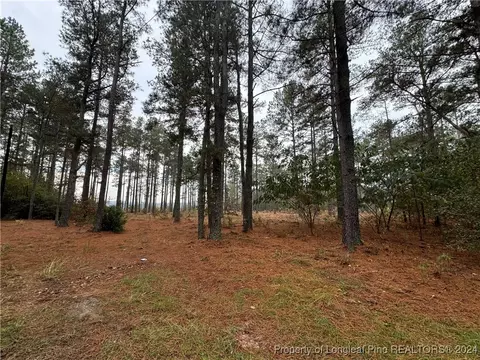Off Dundee Circle, Raeford, NC 28376