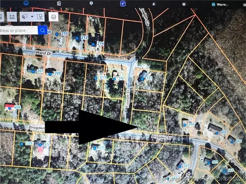 Everett Street, Mount Olive, NC 28365 photo 2