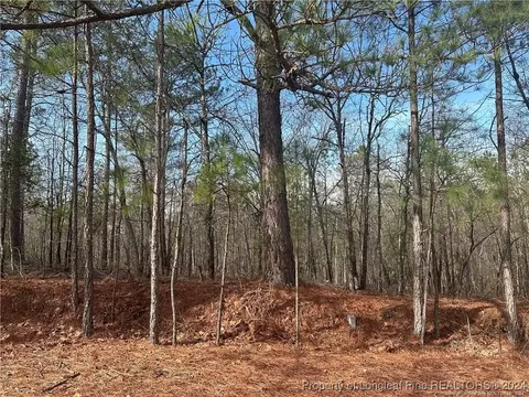 Whiffen Road, Cameron, NC 28326 photo 4