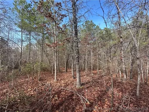 Whiffen Road, Cameron, NC 28326 photo 6