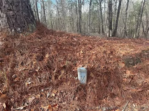 Whiffen Road, Cameron, NC 28326 photo 8