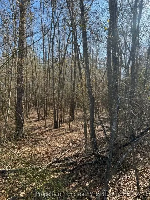 Kennel Road, Wade, NC 28395 photo 3
