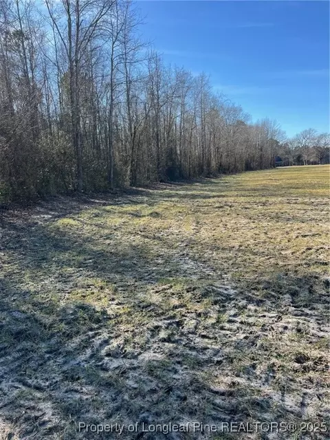Kennel Road, Wade, NC 28395 photo 2