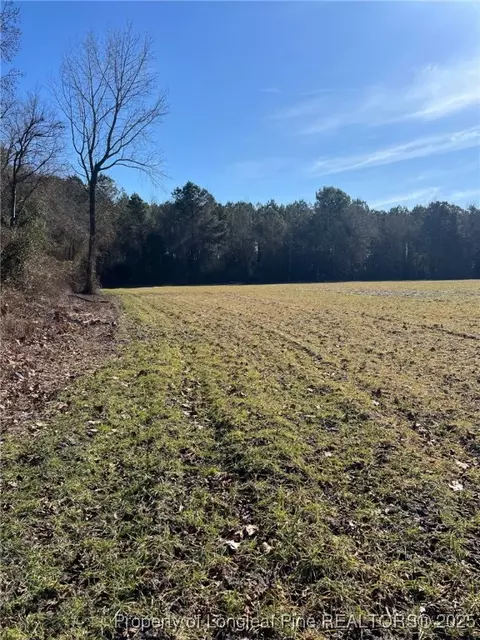 Kennel Road, Wade, NC 28395 photo 5