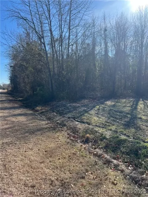 Kennel Road, Wade, NC 28395 photo 3
