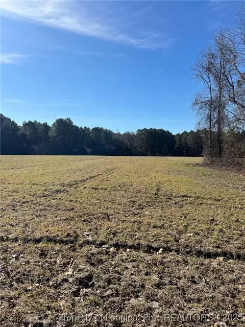 Kennel Road, Wade, NC 28395 photo 6
