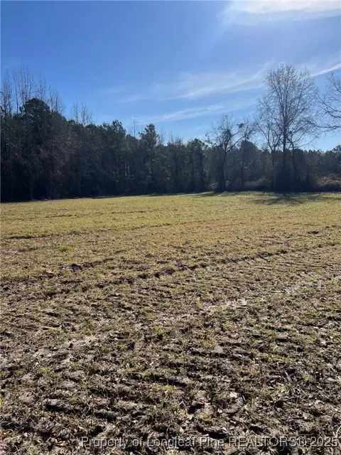 Kennel Road, Wade, NC 28395 photo 2
