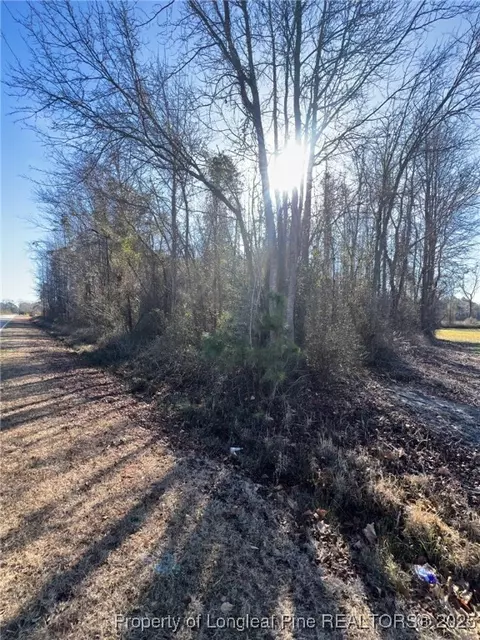 Kennel Road, Wade, NC 28395 photo 4