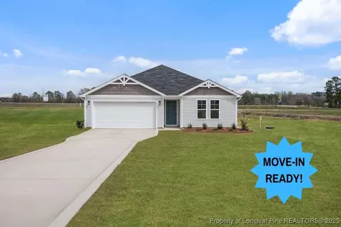 96 Buggy Top Ln, Autryville, NC 28318