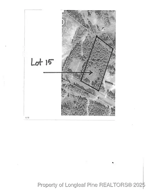 Lee Road, Gibson, NC 28343 photo 3
