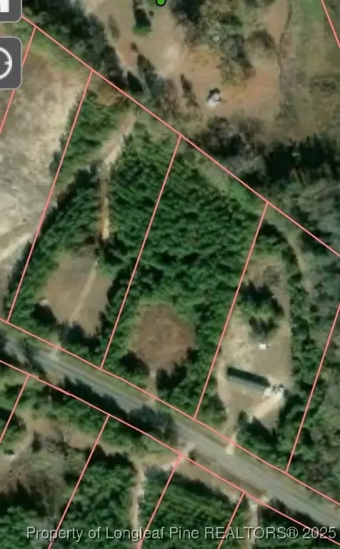 Lee Road, Gibson, NC 28343 photo 2
