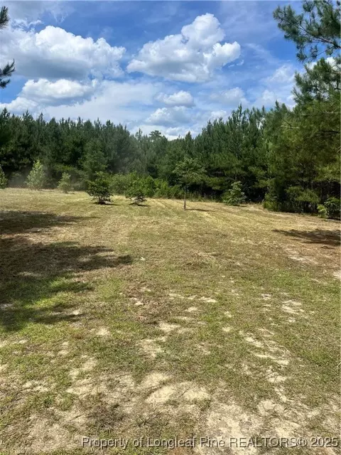 Lee Road, Gibson, NC 28343