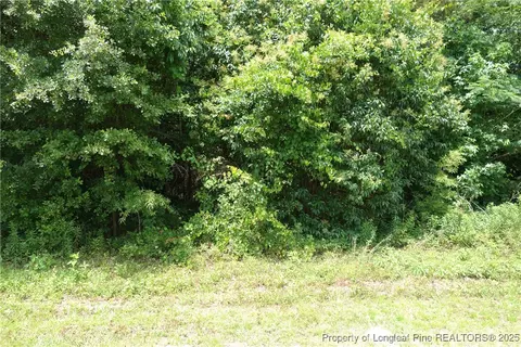 Nc 41 Highway, Fairmont, NC 28340