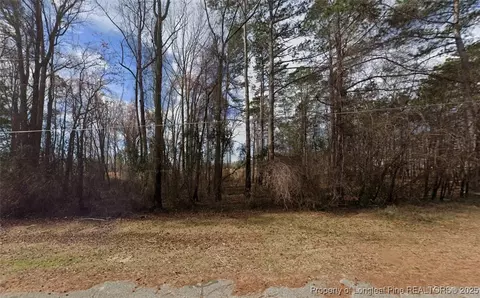 0 S Wilkinson Dr, Saint Pauls, NC 28384