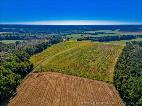 lot3 Daniel Mcleod Rd, Red Springs, NC 28377