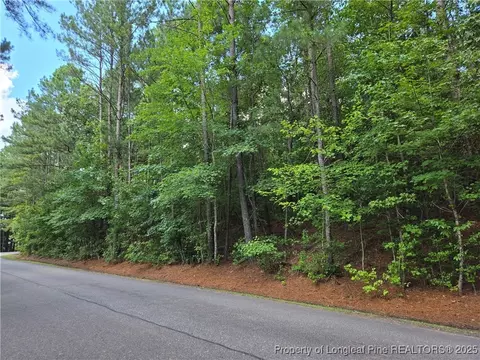 893 Loblolly Dr, Woodlake, NC 28394 photo 2