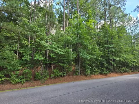 893 Loblolly Dr, Woodlake, NC 28394 photo 5