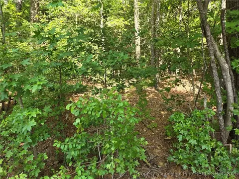 893 Loblolly Dr, Woodlake, NC 28394 photo 3