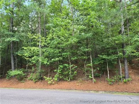893 Loblolly Dr, Woodlake, NC 28394