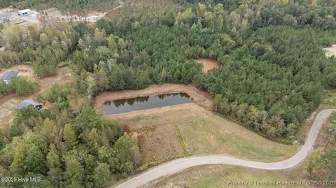 150 Hickory Pointer Way, Cameron, NC 28326 photo 6