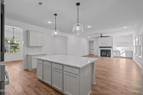 150 Hickory Pointer Way, Cameron, NC 28326 photo 32