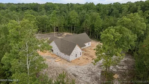 150 Hickory Pointer Way, Cameron, NC 28326 photo 11