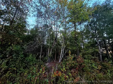 Walker Road, Linden, NC 28356 photo 2