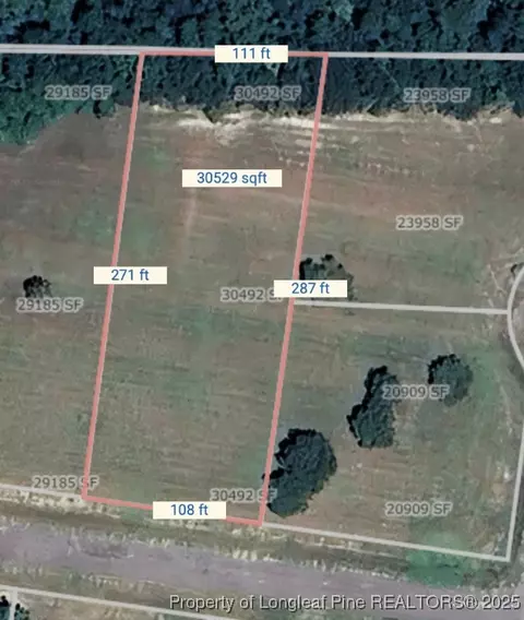 Dandelion Drive, Lumberton, NC 28360