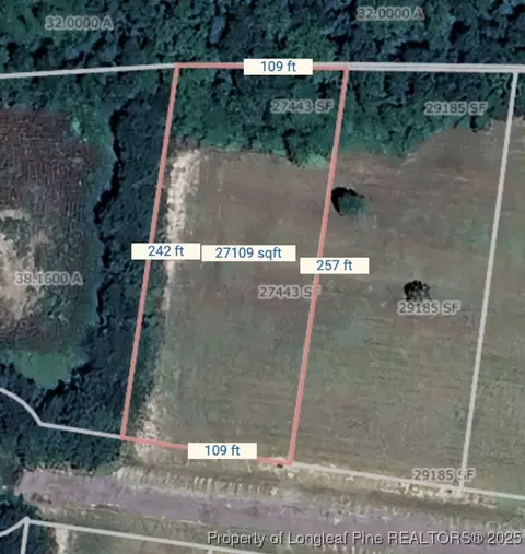 Dandelion Drive, Lumberton, NC 28360
