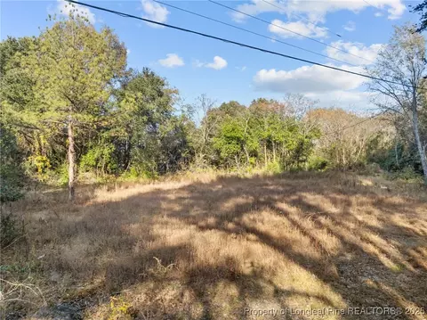 Doby Drive, Raeford, NC 28376 photo 5