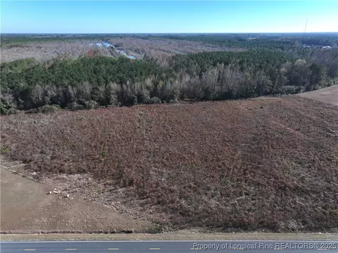 Wire Grass Road, Orrum, NC 28369 photo 4