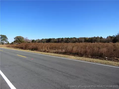 Wire Grass Road, Orrum, NC 28369 photo 8