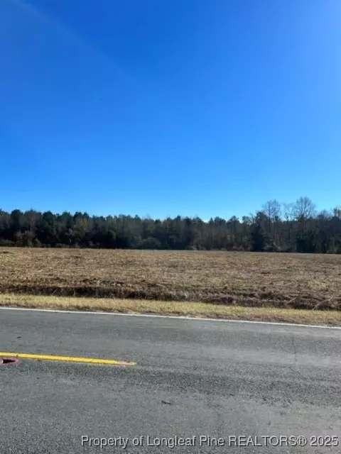 Wire Grass Road, Orrum, NC 28369 photo 10