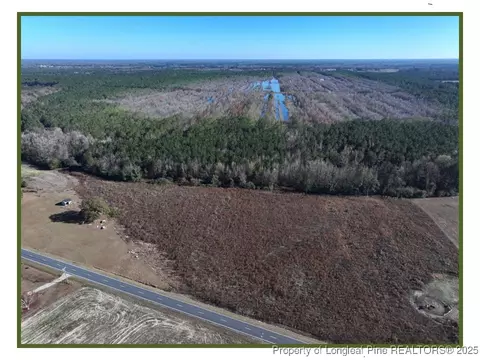 Wire Grass Road, Orrum, NC 28369